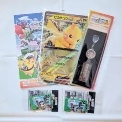 JR東日本 ポケモンメガスタンプラリー2025 景品