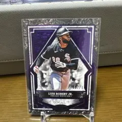 2025年最新】ルイス・ロバートJrの人気アイテム - メルカリ