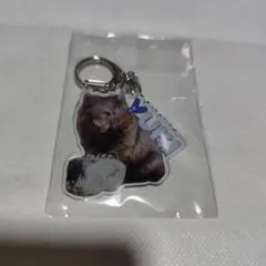 Item thumbnail for item 1138f1ca-1744-4390-95ad-84bd75cf075d