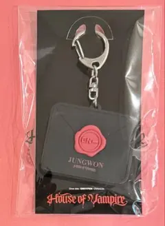 ENHYPEN楽曲体感ミュージアムボイスキーリングジョンウォン