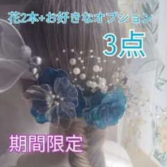 Item thumbnail for item dd7c1450-4ac3-411a-8f2c-e88b4b5f56a9