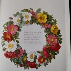 ティンカーベル様専用です