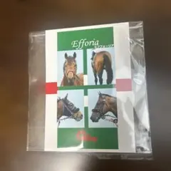 Gallop フォトプラス　エフフォーリア　レア
