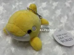 神戸須磨シーワールド シャチ ショコラデュオ ストロベリーチョコ