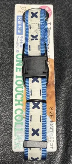 Item thumbnail for item 2fcfaf22-a2e0-4f4f-a147-14bb18e1275f