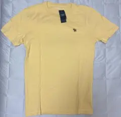【アバクロ】メンズTシャツ（新品未使用）のサムネイル