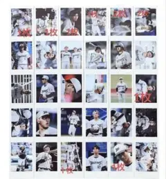 千葉ロッテマリーンズ　チェキ　BSW NCE まとめ売り