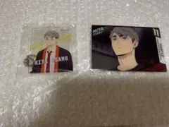 ハイキュー　宮治