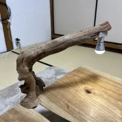 流木アート 001 鳥 白鳥 オブジェ ポール真鍮 ハンドメイド