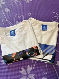 Item thumbnail for item 795b1582-a5cb-41f8-a051-0acca081a8a4