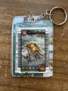 2026年最新】オウゴンオニクワガタの人気アイテム - メルカリ