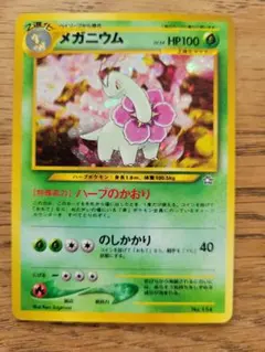 メガニウム_プレミアムファイル PROMO 第1世代 1996~1999