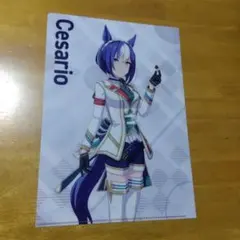5307 ウマ娘 シーザリオ 　Ａ−４クリアファイル