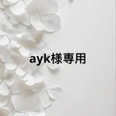 ayk様 リクエスト 2点 まとめ商品