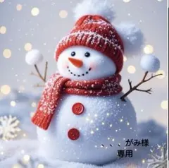 、、、がみ様 リクエスト 6点まとめ商品