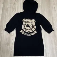 Item thumbnail for item 520c556f-0580-4fc2-af04-33e11d6251fd