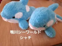 Item thumbnail for item effca7ac-7ff2-4951-9269-50b45f8bfa1b