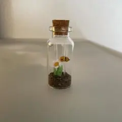 Item thumbnail for item c650ceb1-47c9-4049-942e-36a23fe88d81