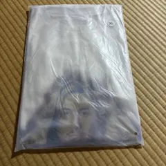 Item thumbnail for item 2d21d71a-79b4-47a5-ad82-b4406b9e5f26