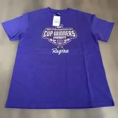 Item thumbnail for item 13d23133-dfce-4156-8333-de616bb7a3c6