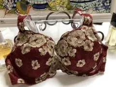 トリンプ　ブラジャーD70植物性コラーゲン＆マイナスイオン★その他★