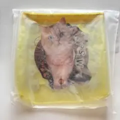 新品未開封✨ポール&ジョー　ポーチ　猫 送料無料