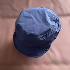 Item thumbnail for item 898f85a1-0e29-4df2-9885-02859e96053d