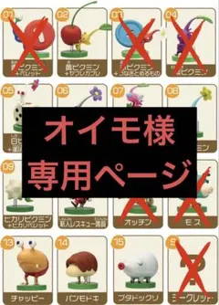 オイモ様購入専用ページ