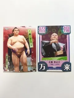 Item thumbnail for item bcd4c0d7-0c83-441f-a273-8a92a171c8e8