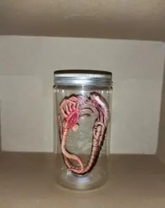 エイリアン ホルマリン漬け風フィギュア