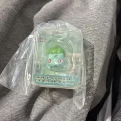 ハ*ル様 ポケットモンスター　ポケプラブリスターマスコットチャーム　フシギダネ