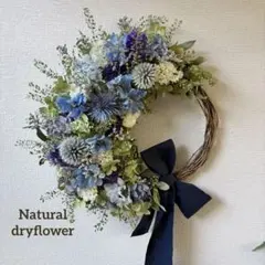 ひまわり＊様専用＊Natural＊デルフィニウムのブルーリース☆ドライ