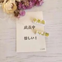 Item thumbnail for item 6fe19193-004f-4c3c-a72e-69d2818d9b36