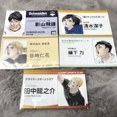 ハイキュー/ファンパーク/名刺カードコレクション/清水/谷地/田中/縁下/影山