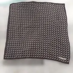 Item thumbnail for item 8c494b56-fb9b-4c67-85a1-bb6d2c418b6d