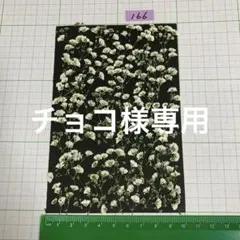 チョコ様 リクエスト 3点 まとめ商品