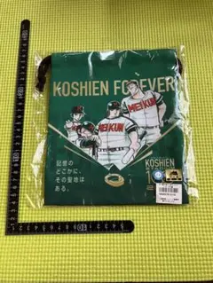 甲子園100周年コラボ ドカベンアクリルパネル/阪神タイガース - メルカリ