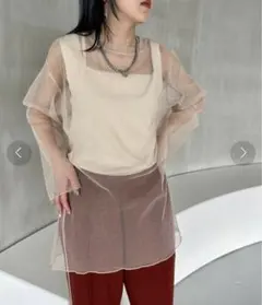 ジーナシス　シアーラメトップス