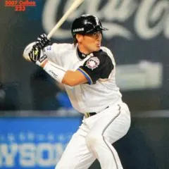高橋信二223⭐️北海道 日本ハムファイターズ⭐️プロ野球カード⭐️オリックス 日ハム
