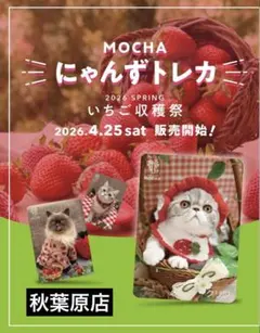 バラ売りOK にゃんずトレカ 猫カフェMOCHA 2024冬 町田ジョルナ店 バラ売りOK にゃんずトレカ 猫カフェMOCHA 2024冬 町田ジョルナ店
