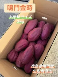 ◯●新物　鳴門金時●◯ 丸芋Mサイズ 3kgのサムネイル