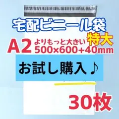 a2　特大　宅配ビニール袋　30枚　500×600　発送用ビニール袋　高品質
