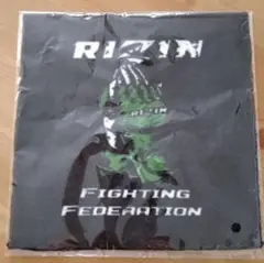 Item thumbnail for item 507432ca-2978-4acd-90fb-04469c895e8b