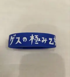 ゲスの極み乙女 ミュージシャン