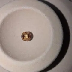 Item thumbnail for item 701fdc28-1f48-467f-b211-83e32d3c3156