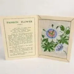 パッションフラワー刺繍スカーフ