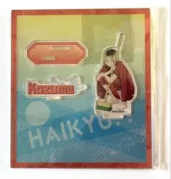 ハイキュー！！孤爪研磨プール掃除アクスタ