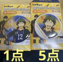 ハイキュー　横断幕　グリッター　缶バッジ　山口