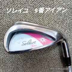 Item thumbnail for item 885f9b24-4eb0-4c77-824c-ba866aa45224