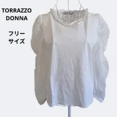 TORRAZZO DONNA　パール　シアースリーブ　カットソー　フリーサイズのサムネイル